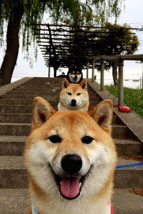 【逆转思考】球队X的战术调整背后逻辑，球队战术怎么设置