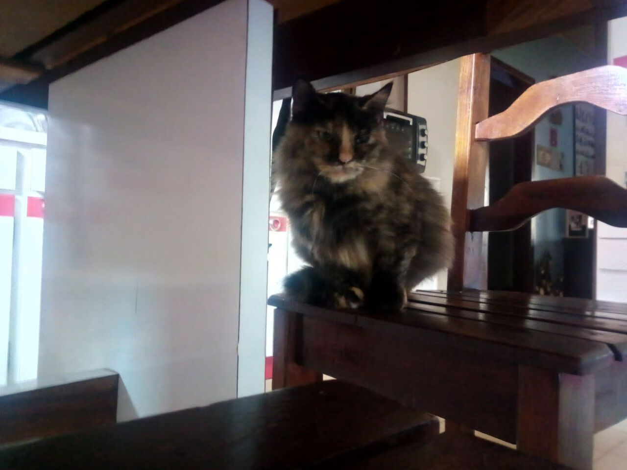 明日方舟全明星阵容全能对抗赛，战术大比拼，明日方舟通用阵容搭配