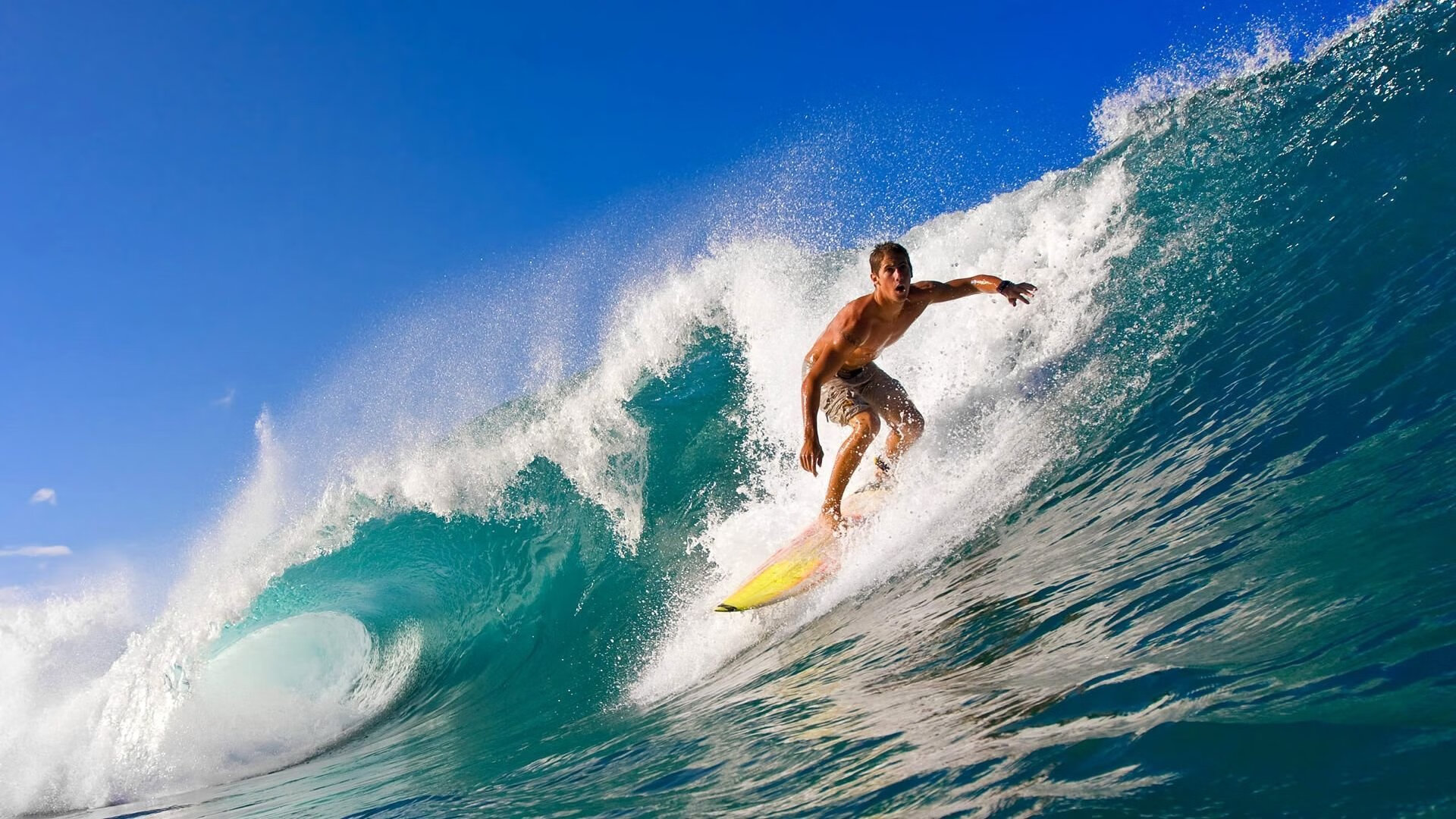南非羚羊队的球员：每个位置都具备极高的竞技水平和战术意识，南非大羚羊主要分布哪里