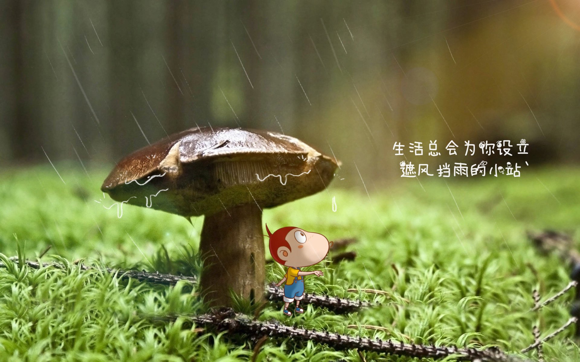 _行业观察:网球市场的未来怎样?_,网球行业分析