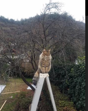 全国全民健身大赛在各地开展，普通体育爱好者有机会登上全国大舞台