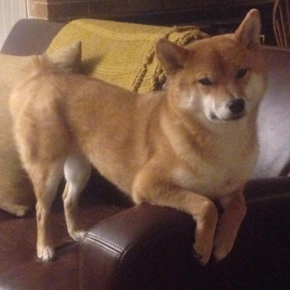 全国青少年足球夏令营启动，选拔优秀苗子，2020年全国青少年校园足球夏令营