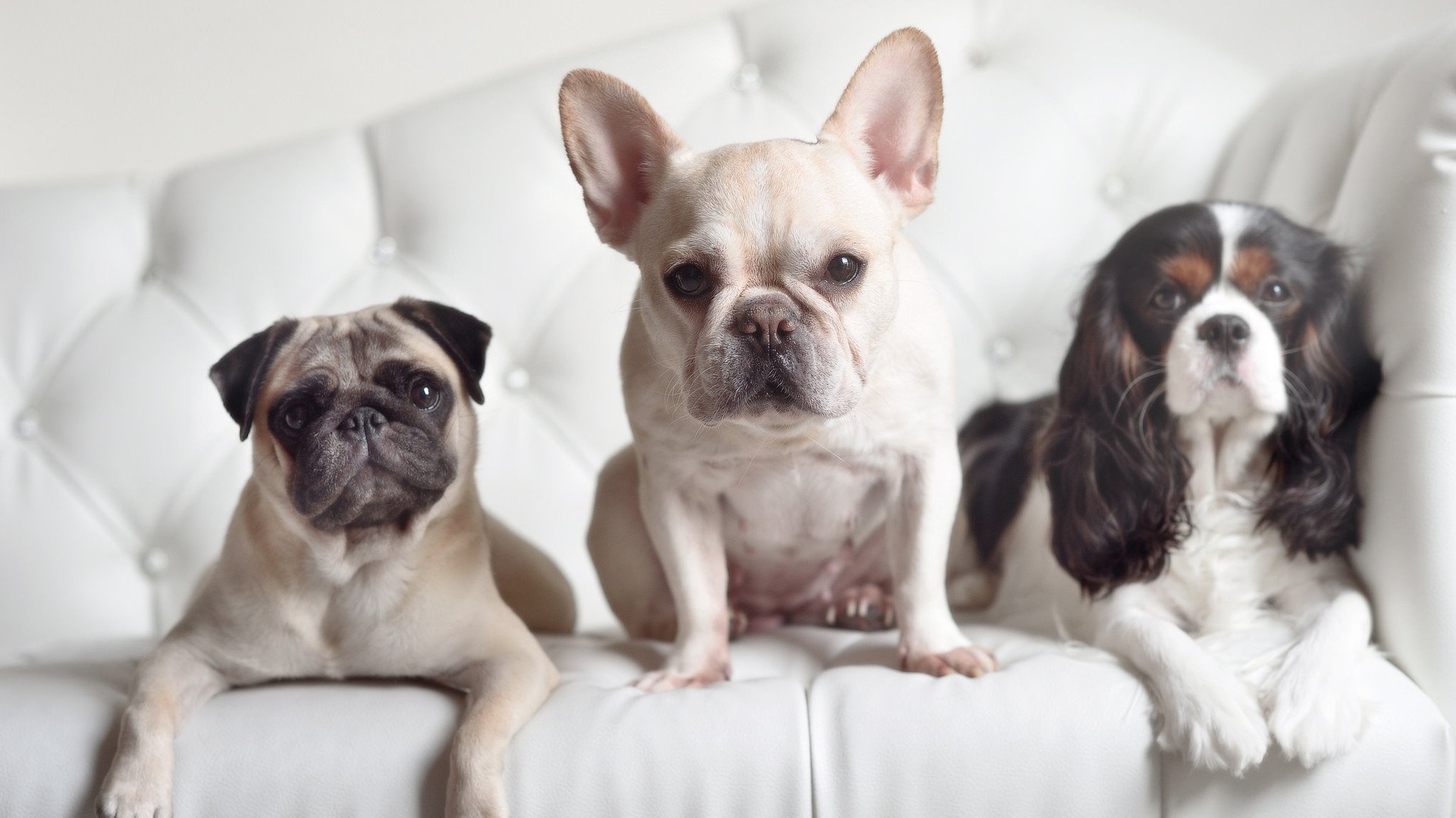 全国青少年足球夏令营启动，选拔优秀苗子，2020年全国青少年校园足球夏令营